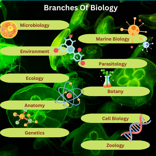 Biology Assignment Help Online - Flat 20% Off | The Assignment Helpline