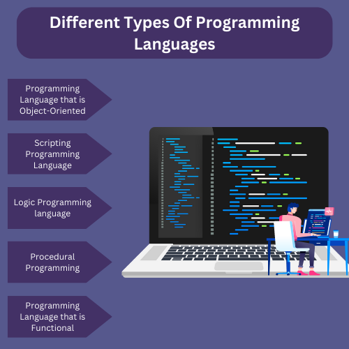 Who provides the best assignment help for C programming?