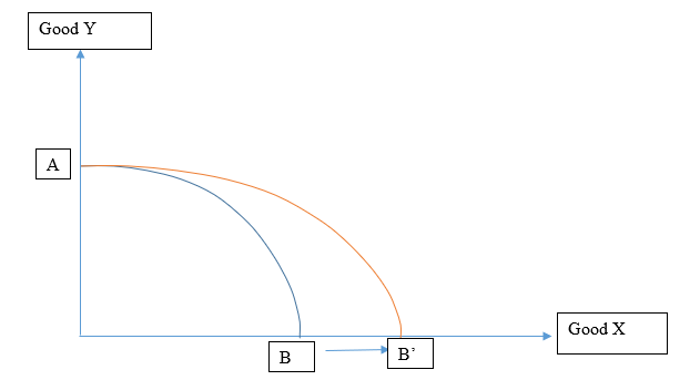 economic assignment sample