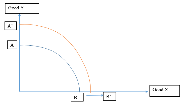 economic assignment sample